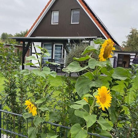 Ferienhaus Kiebitz دورم نيوفيلد المظهر الخارجي الصورة